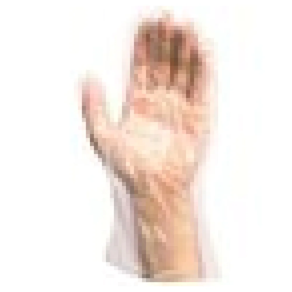 Einweghandschuhe aus HDPE universal passend (L), 500 Stk. – Bild 4