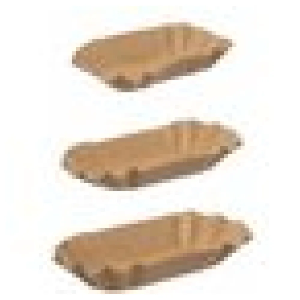 BIO Pappschalen mittel 'Green by Nature' braun 10,5 x 17,5 x 3 cm, 250 Stk. – Bild 4