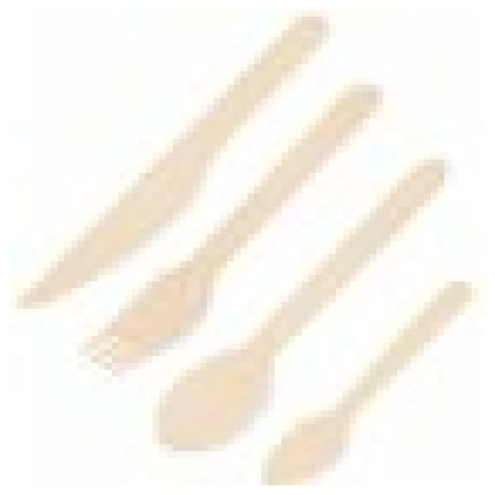 Bestecksets aus Holz biologisch abbaubar Gabeln Messer Löffel Kaffeelöffel, 10 Stk. – Bild 4