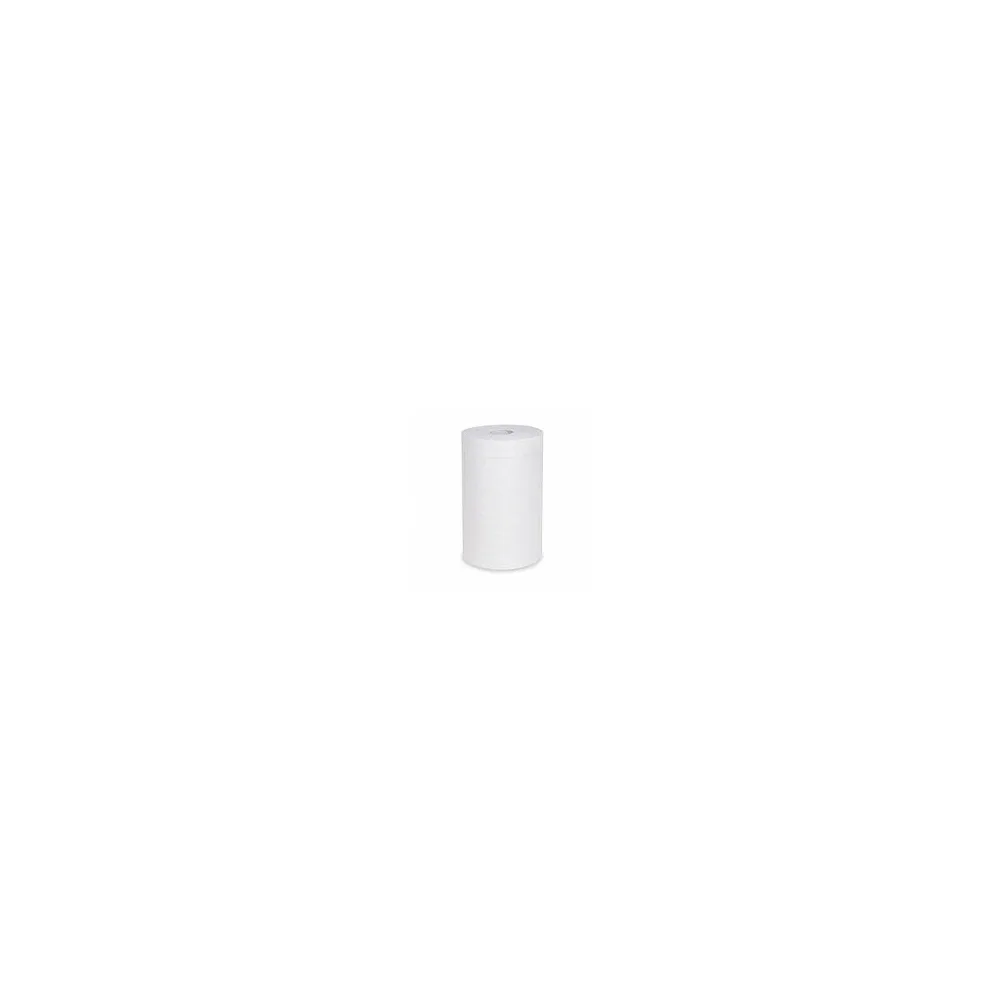 Putztuchrolle perforiert 100% Zellstoff 2-lagig O 12 x 20cm x 60m weiß, 12 Stk.