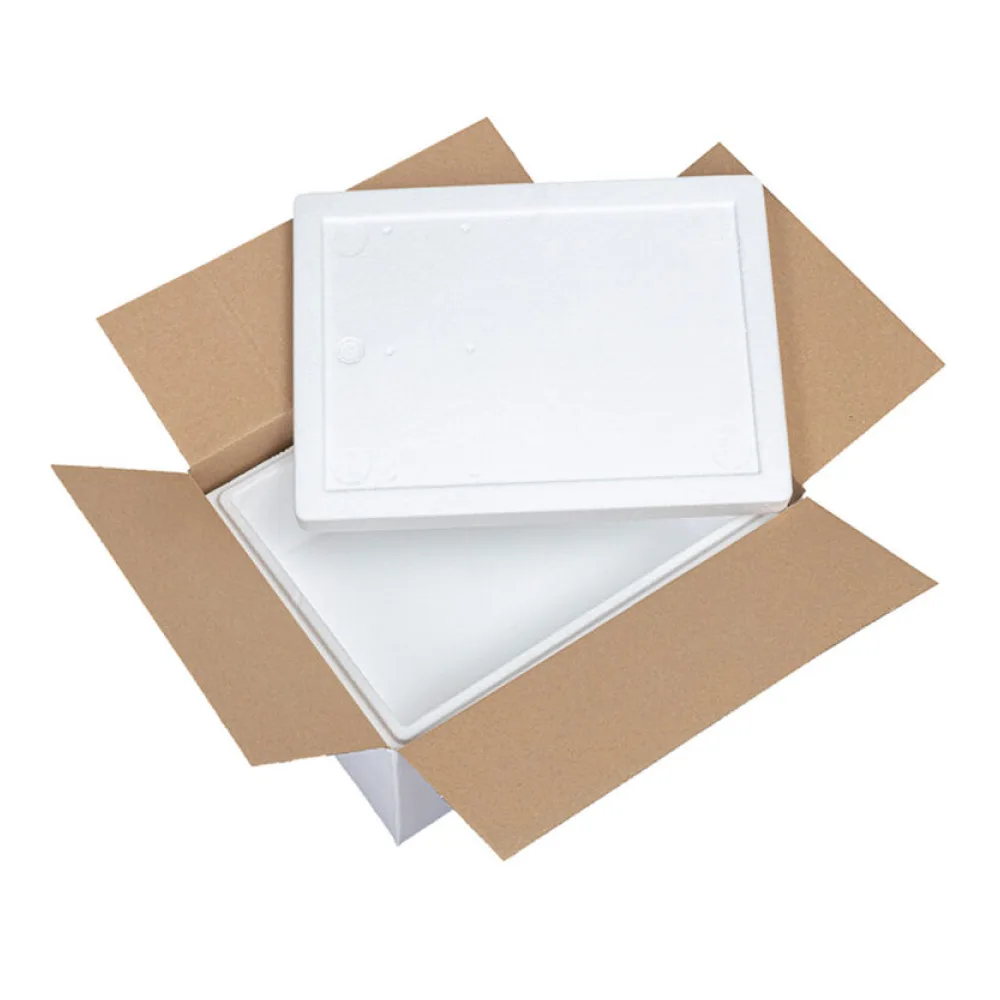 Isolierboxen mit Deckel aus EPS 385 x 285 x 174 mm 10,5 Liter, inkl. Umkarton – Bild 2