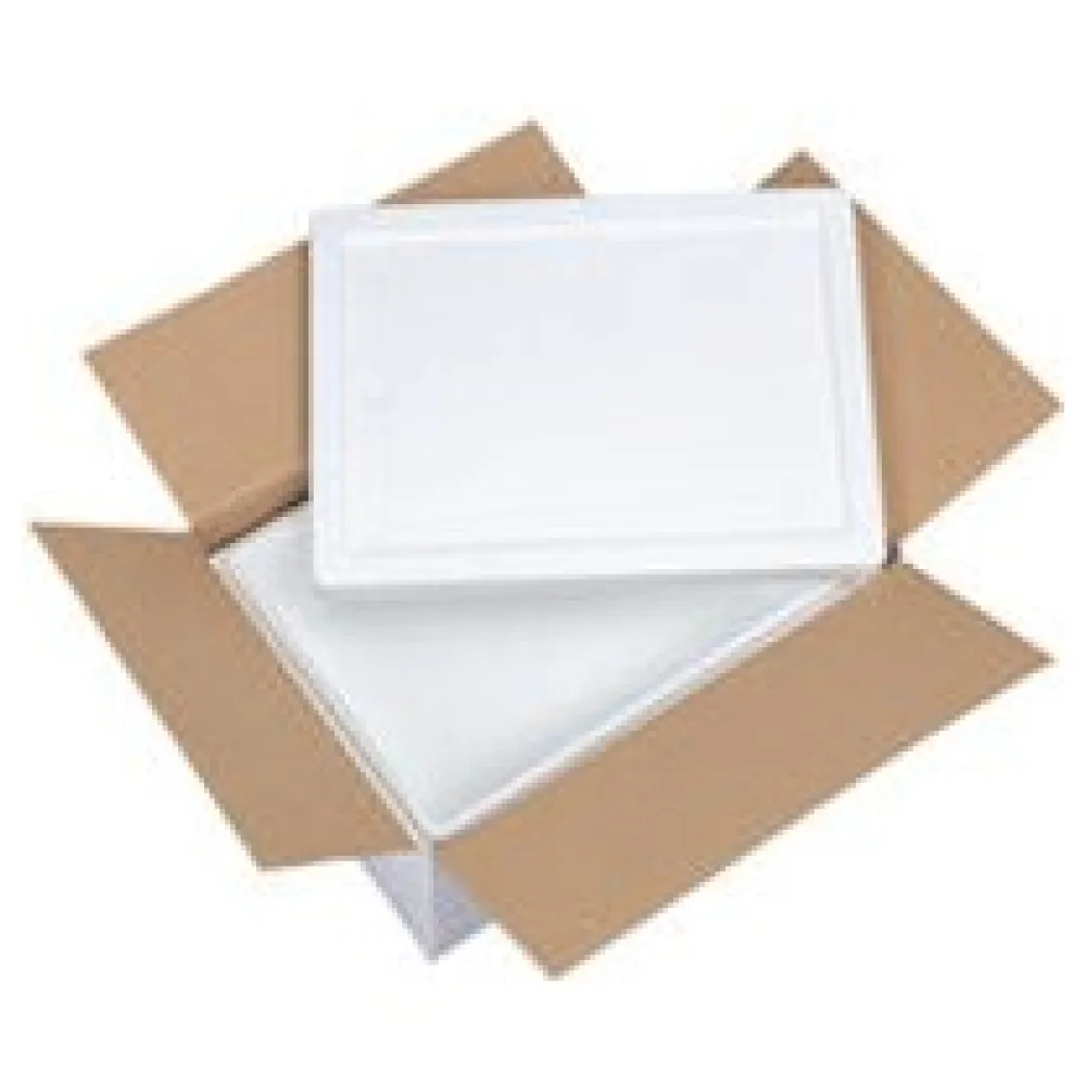 Isolierboxen mit Deckel aus EPS 385 x 285 x 174 mm 10,5 Liter, inkl. Umkarton – Bild 3