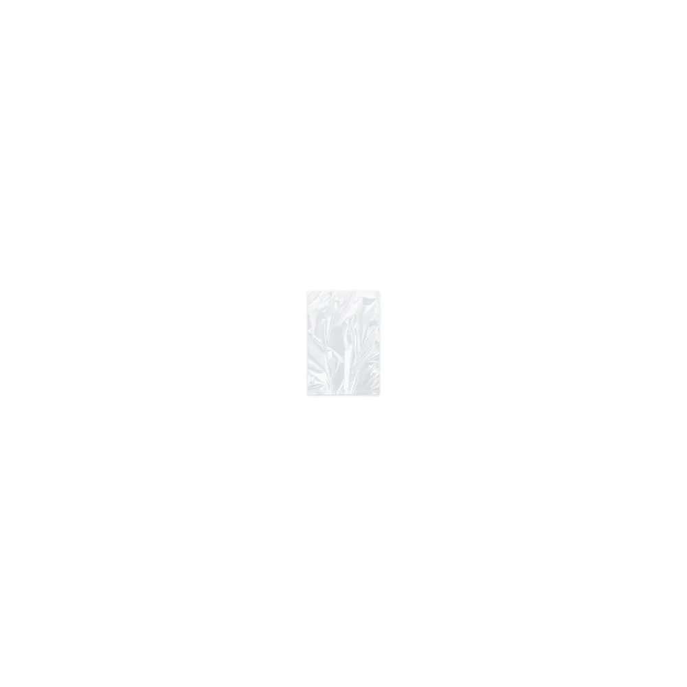 Universal Flachbeutel 250 x 350 mm 4 liter 'L' HDPE gerollt transparent, 50 Stk.