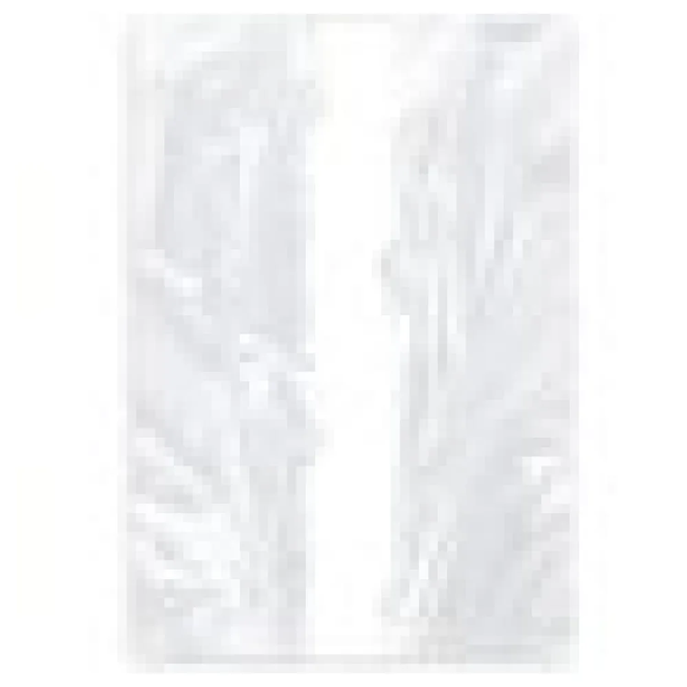Gefrierbeutel mit Verschlussclips 'M' 200 x 300 mm 2 Liter LDPE, 40 Stk. – Bild 4