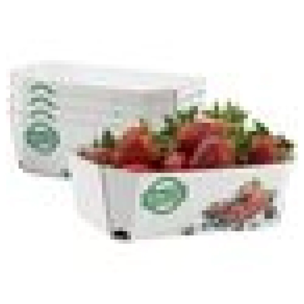 Beerenschalen aus Pappe 159x95x60mm mit Neutraldruck für 500 gr., 350 Stk. – Bild 4