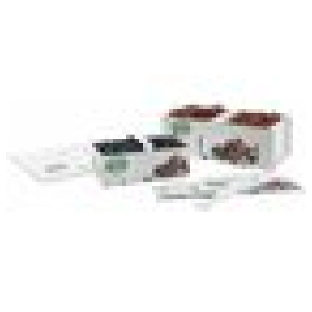 Obstkörbe Beerenkörbe aus Pappe 350x159x118mm mit Neutraldruck für 2,0-2,5 KG – Bild 4