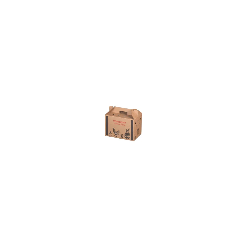 Transportkarton für Kleintiere 320x200x230mm mit Tragegriff, Luftlöchern und Automatikboden - Größe S