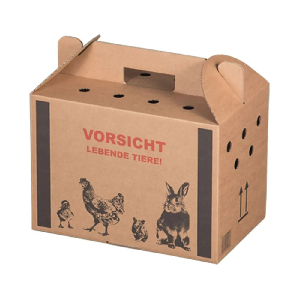 Transportkarton für Kleintiere 320x200x230mm mit Tragegriff, Luftlöchern und Automatikboden - Größe S – Bild 2