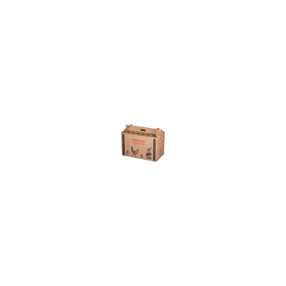 Transportkarton für Kleintiere 580x310x370mm mit Tragegriff, Luftlöchern und Automatikboden - Größe L
