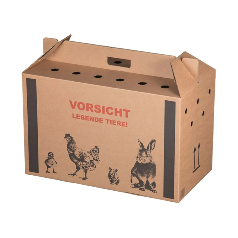 Transportkarton für Kleintiere 580x310x370mm mit Tragegriff, Luftlöchern und Automatikboden - Größe L – Bild 2