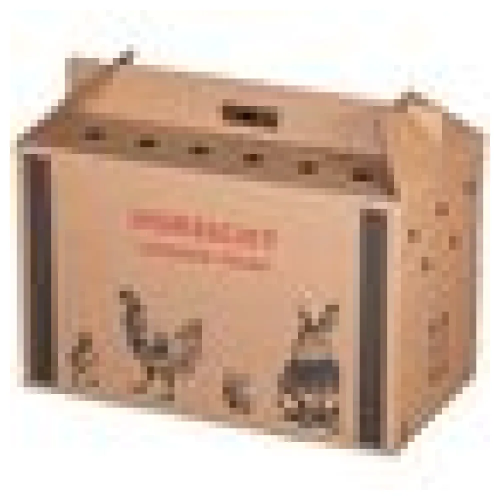 Transportkarton für Kleintiere 580x310x370mm mit Tragegriff, Luftlöchern und Automatikboden - Größe L – Bild 4