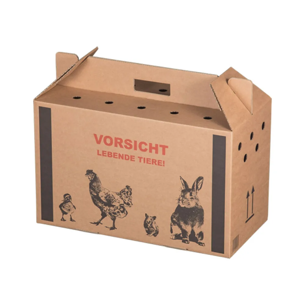 Transportkarton für Kleintiere 480x230x300mm mit Tragegriff, Luftlöchern und Automatikboden - Größe M – Bild 2
