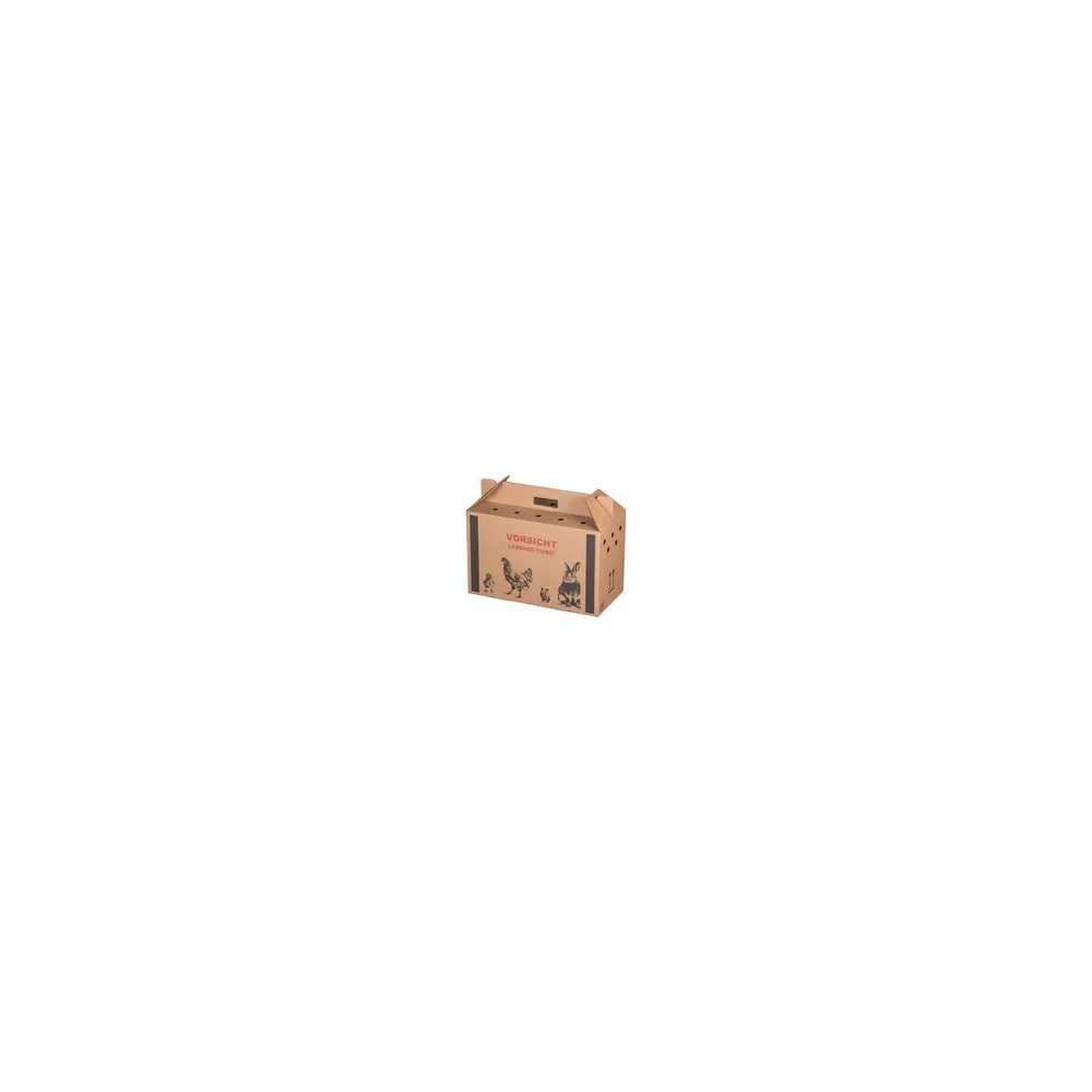 Transportkarton für Kleintiere 480x230x300mm mit Tragegriff, Luftlöchern und Automatikboden - Größe M