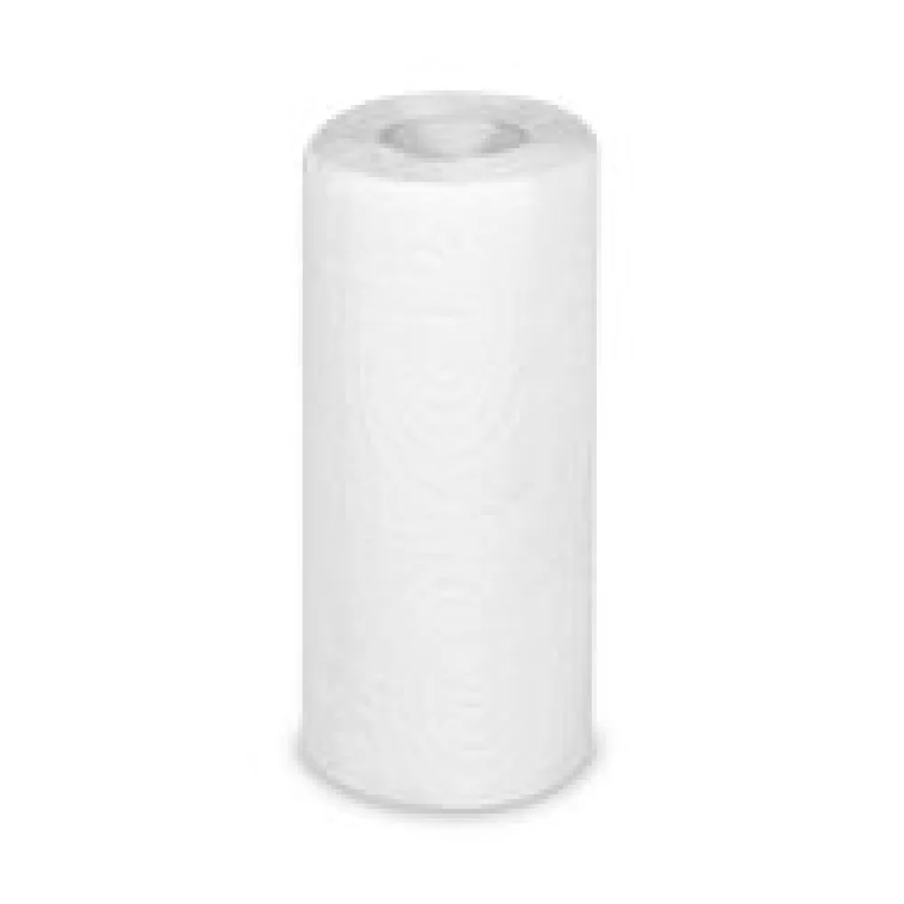 Küchenrollen Tissue 2-lagig 'Harmony EveryDay" O10,5cm 11m 50 Blatt, 2 Stk.