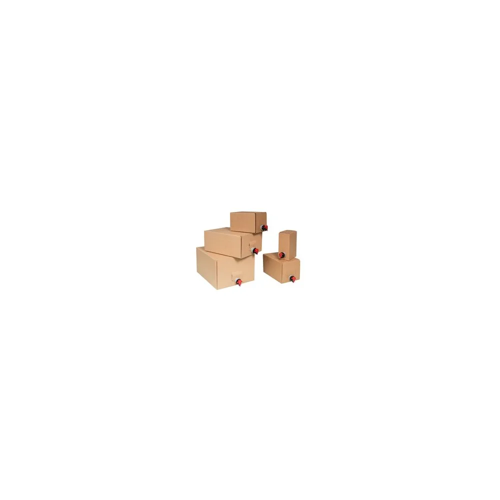 Bag in Box 20 Liter - Karton und Beutel im Set