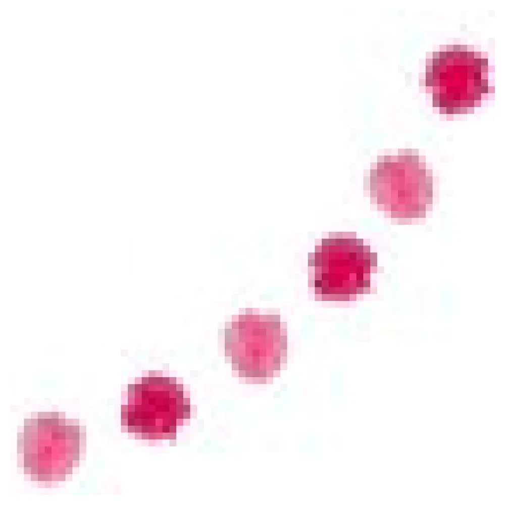 Pompon-Girlande aus Papier rosa 2.5m, 1 Stk. – Bild 4