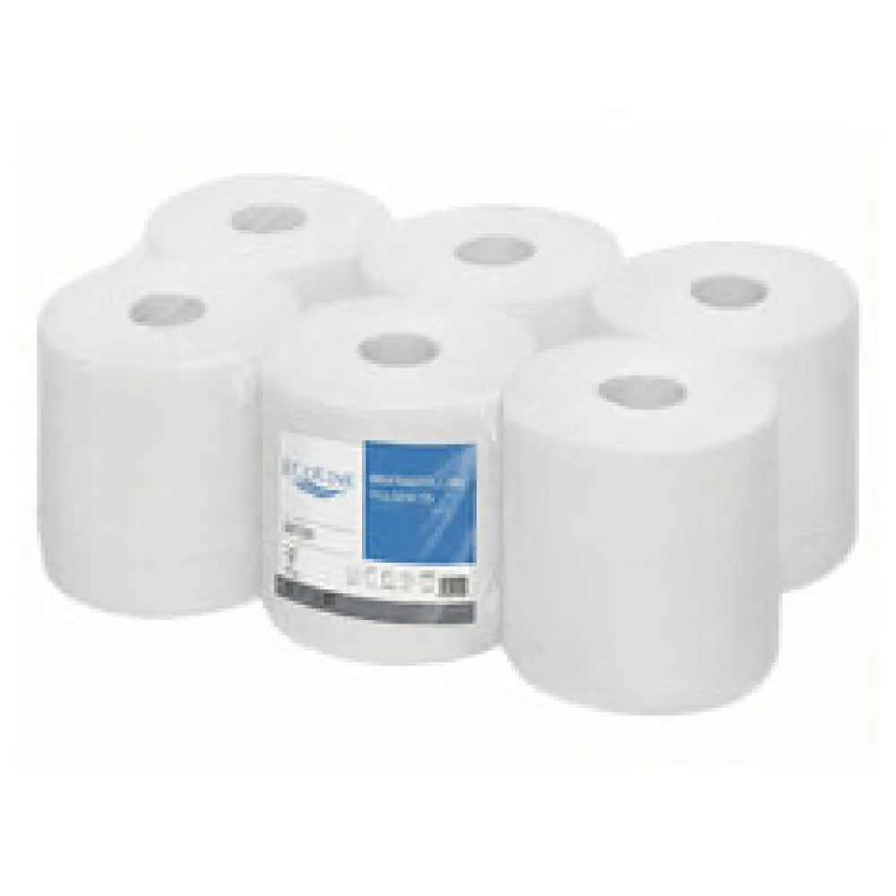 Ecoline Handtuchpapier Innenabrollung 2-lagig, hülsenlos, Zellstoff, 450 Abrisse, 6 Rollen