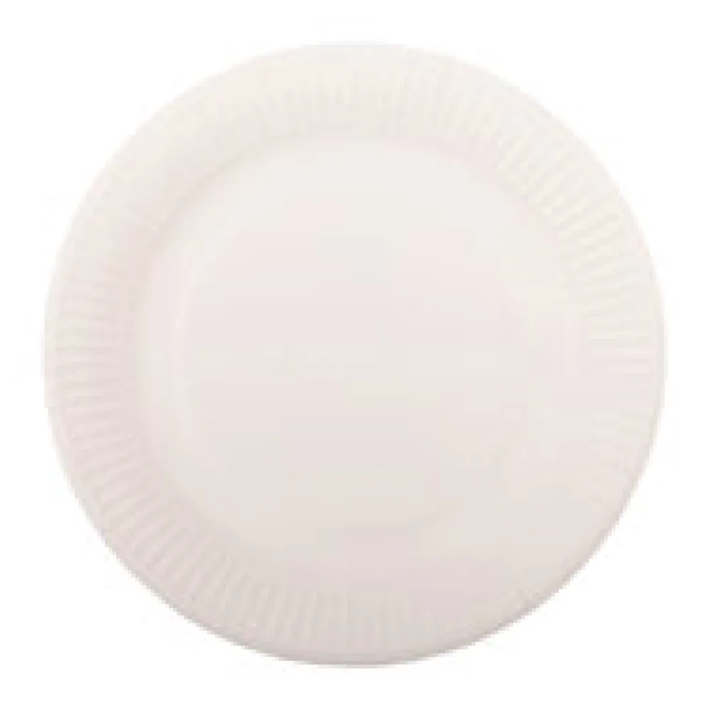 Teller aus Pappe rund O18cm weiß, 20 Stk.