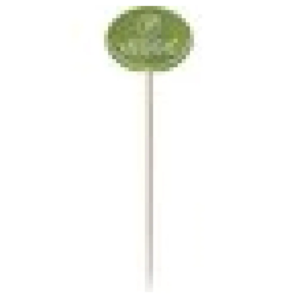 Kennzeichnungspicker Deko-Picker "Veggie" 12 cm grün, 100 Stk. – Bild 4