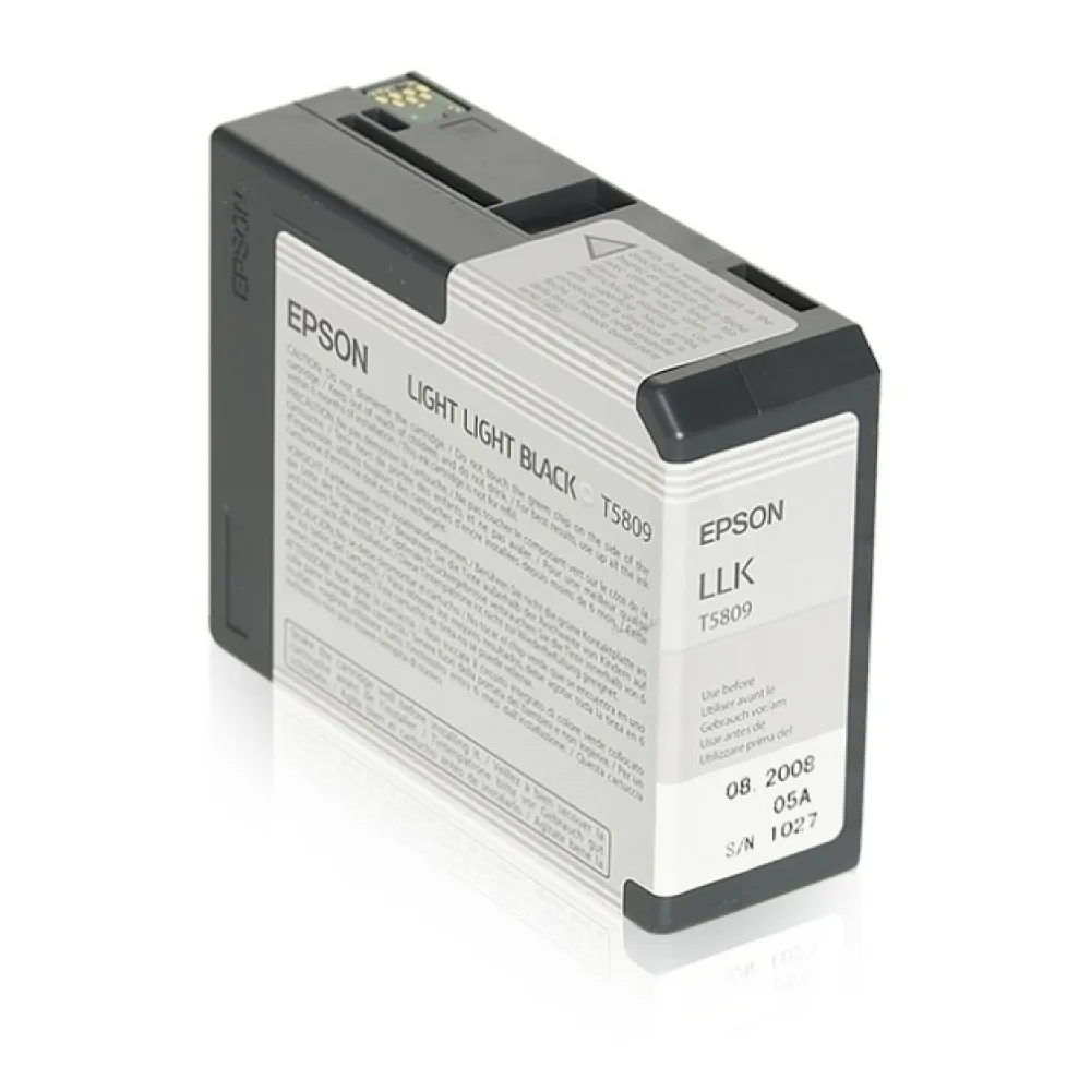 Original Epson C13T580900 / T5809 Tintenpatrone schwarz hell hell