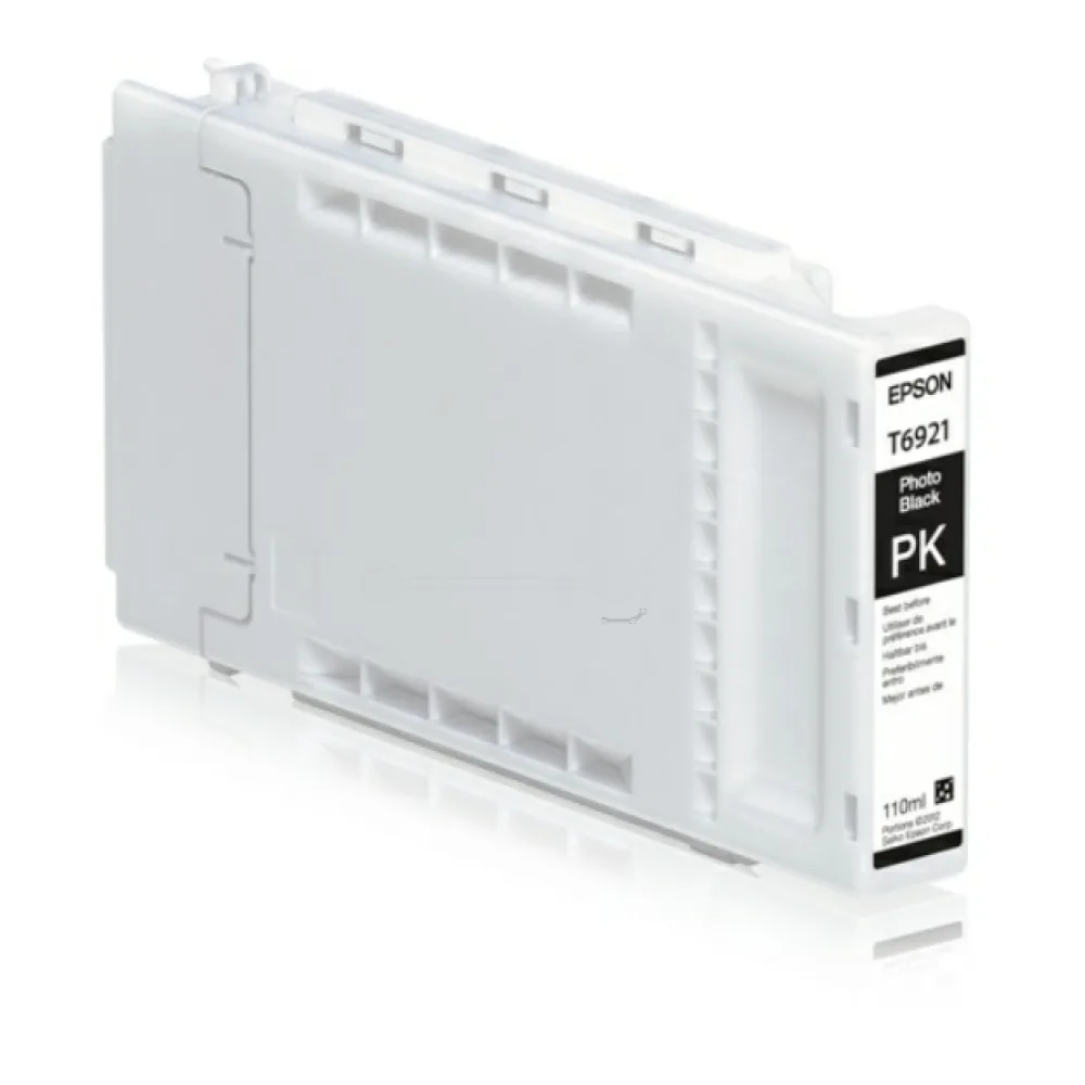 Original Epson C13T692100 / T6921 Tintenpatrone schwarz