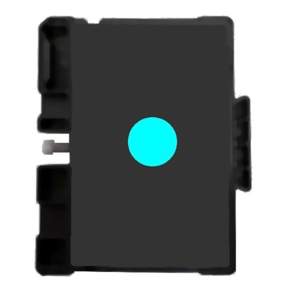 Original Ricoh 405762 / GC41C Tinte Sonstige