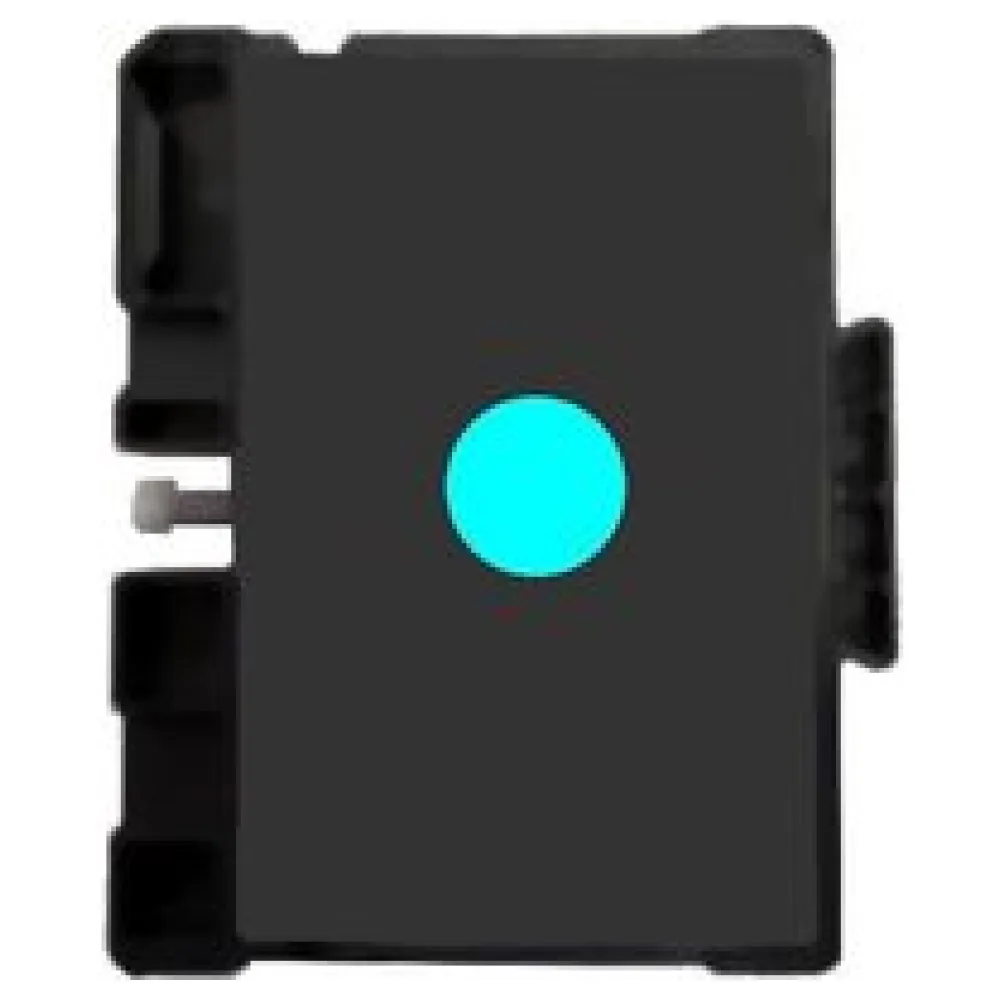 Original Ricoh 405762 / GC41C Tinte Sonstige – Bild 2
