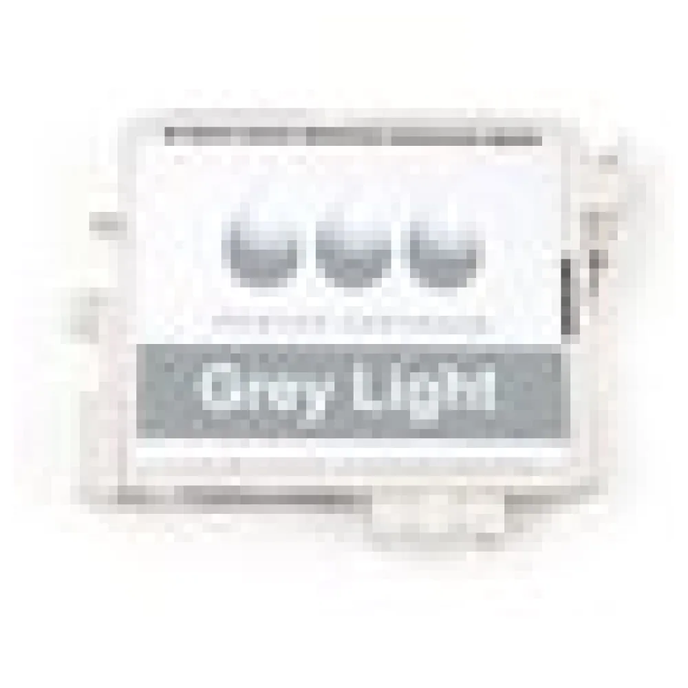 Kompatibel zu Canon 4872B001 / PGI-29LGY Tintenpatrone, light grau – Bild 3