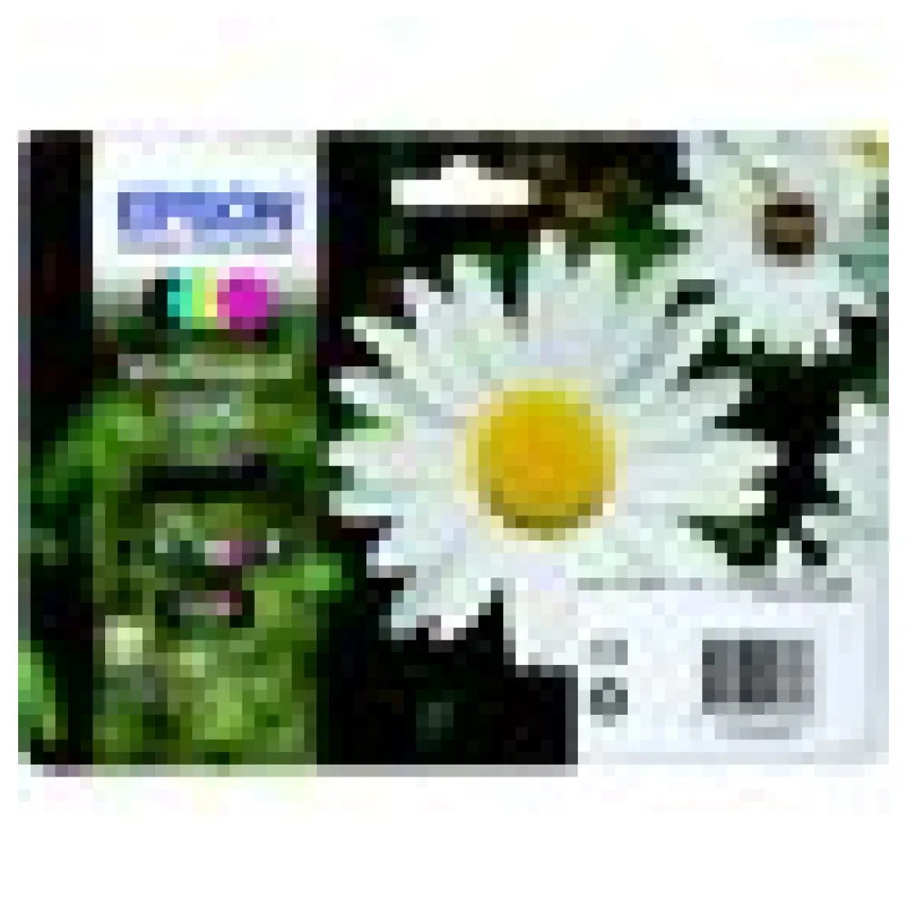 Original Epson C13T18164012 / 18XL Tintenpatrone Multipack – Bild 3