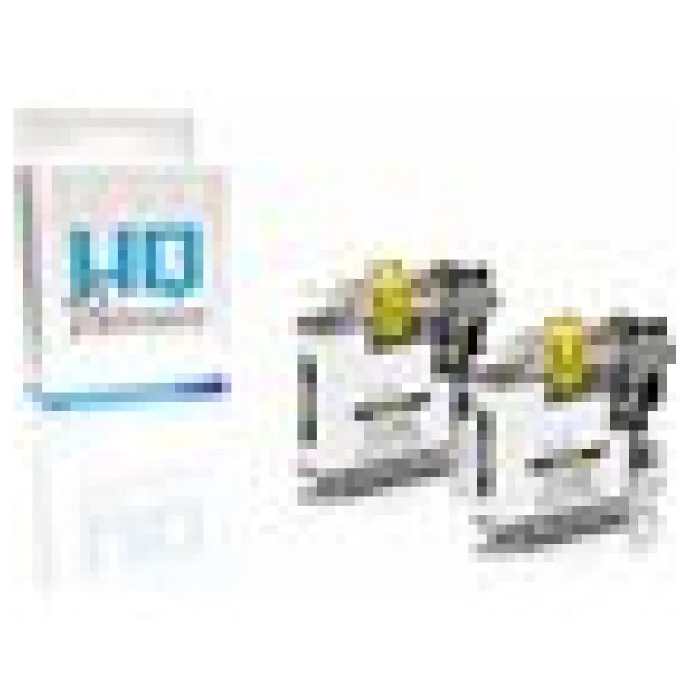 LC-123BK Twin Pack kompatibel Schwarz – Bild 3